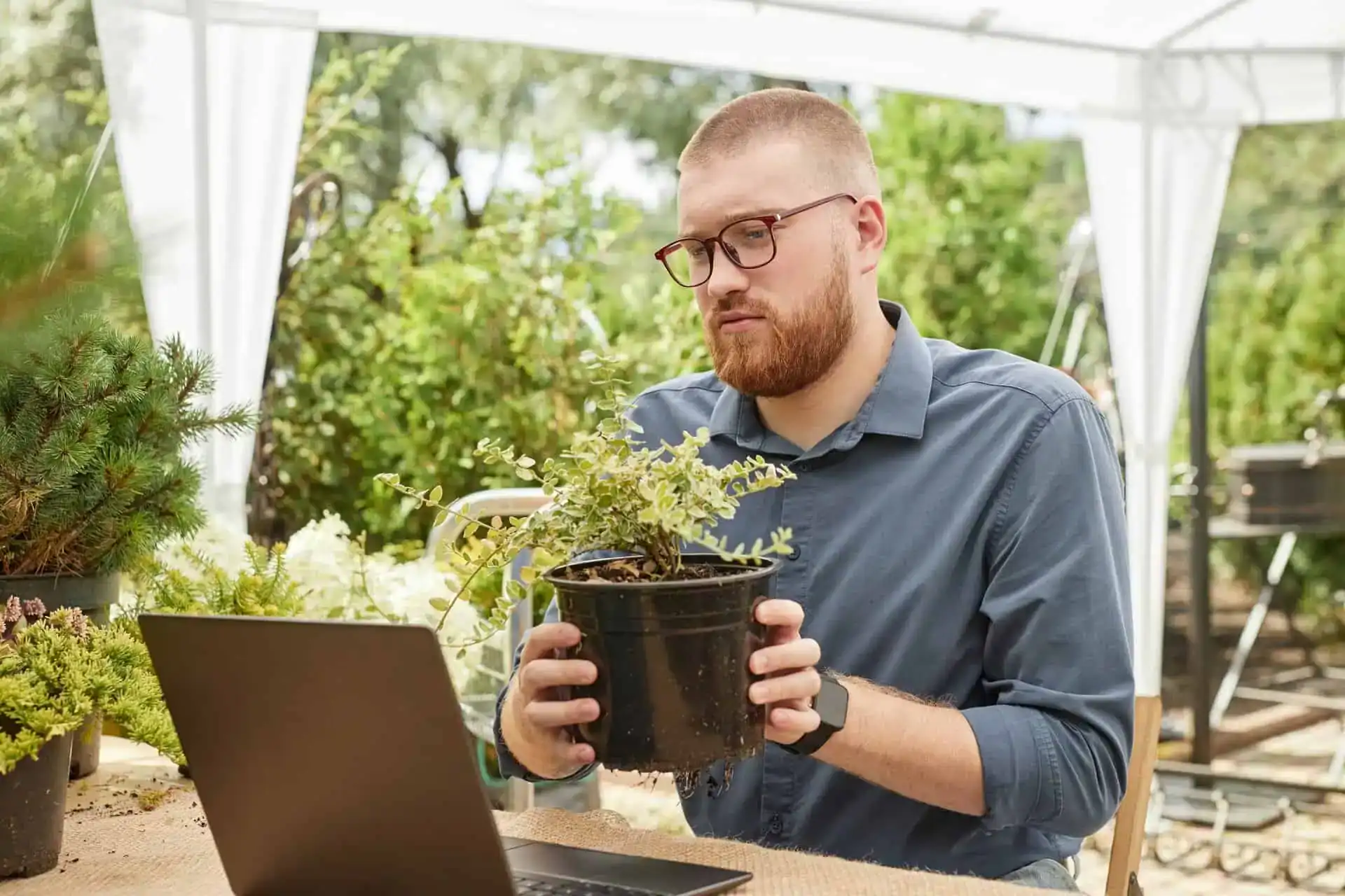 Landscape Designer Insurance Massachusetts